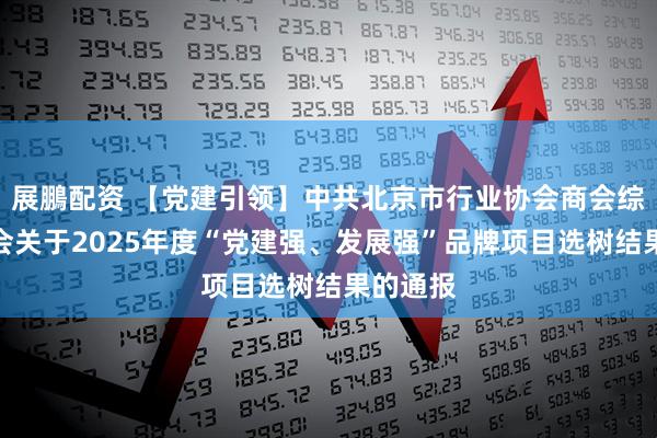 展鵬配资 【党建引领】中共北京市行业协会商会综合委员会关于2025年度“党建强、发展强”品牌项目选树结果的通报