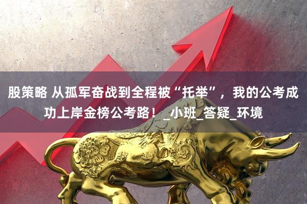 股策略 从孤军奋战到全程被“托举”，我的公考成功上岸金榜公考路！_小班_答疑_环境